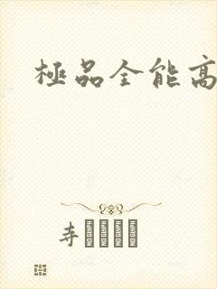 极品全能高手