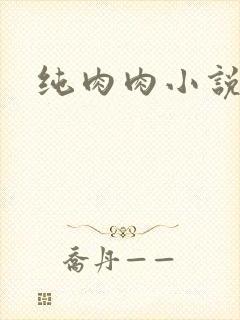 纯肉肉小说
