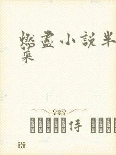 燃尽小说半截白菜