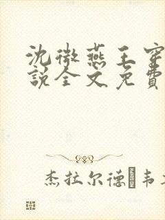 沈微燕王穿越小说全文免费阅读