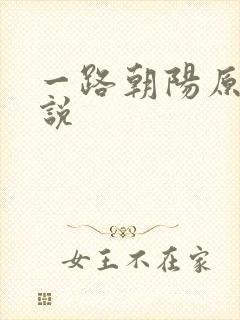 一路朝阳原著小说