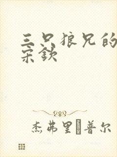 三只狼兄的宠妻宋钦