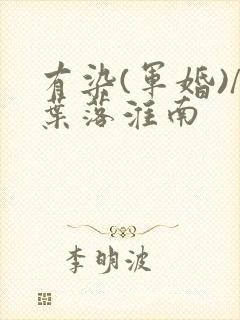 有染(军婚)/叶落淮南