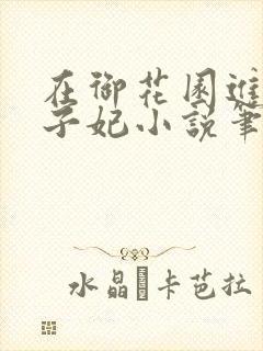 在御花园进入太子妃小说笔趣阁