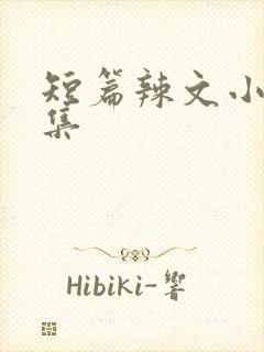 短篇辣文小说合集