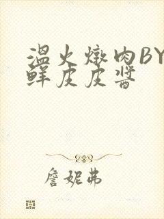 温火炖肉BY海鲜皮皮酱