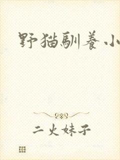 野猫驯养小说