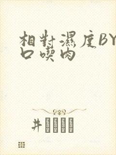 相对湿度BY大口吃肉