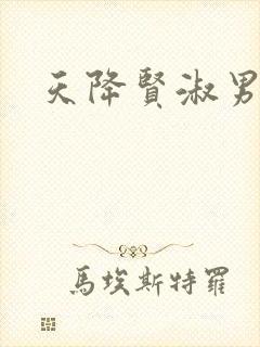 天降贤淑男小说