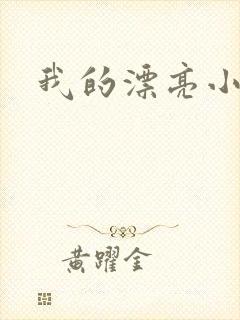 我的漂亮小后妈