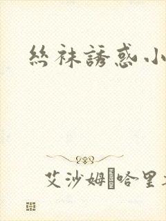 丝袜诱惑小说封面