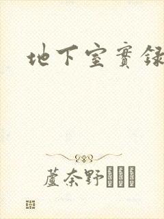 地下室实录封面