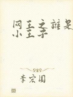 网王之谁是我的小王子