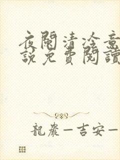 夜阑清冷意欢小说免费阅读