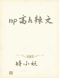 np高h辣文