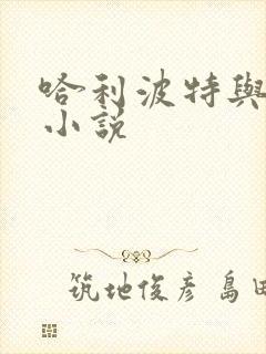 哈利波特与密室小说