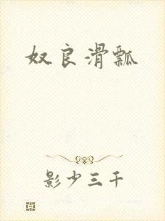 《奴良滑瓢》小说封面