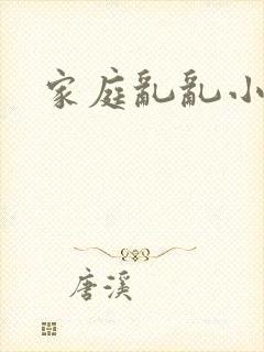 家庭乱乱小说封面