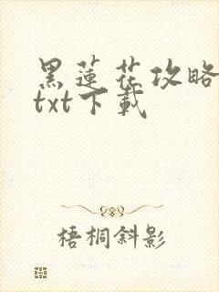 黑莲花攻略手册txt下载