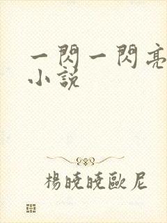 一闪一闪亮星星小说