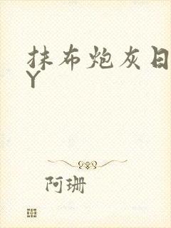 抹布炮灰日记BY