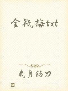 金瓶梅txt