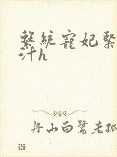 系统宠妃紧致多汁h