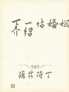 下一站婚姻剧情介绍