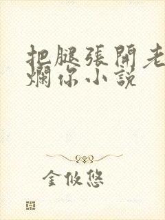 把腿张开老子臊烂你小说