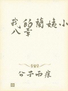 我的兰姨小说第八章