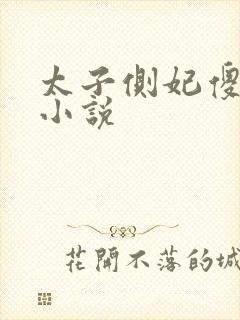 太子侧妃傻乎乎小说