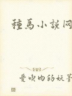 种马小说网