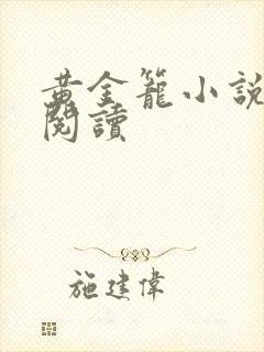 黄金笼小说免费阅读