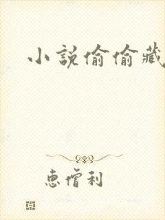 小说偷偷藏不住