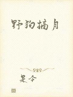 野狗摘月