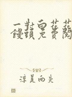 一对白花花的大馒头免费阅读