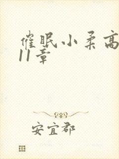 催眠小柔高达第11章