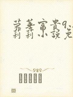 荣华富贵9小王莉莉小说免费阅读