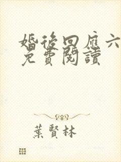 婚后回应六盲星免费阅读