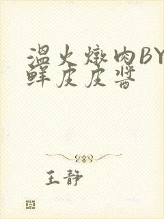 温火炖肉BY海鲜皮皮酱