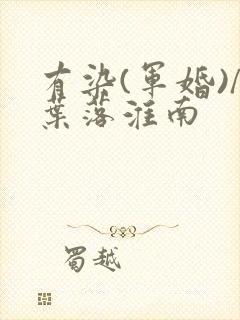 有染(军婚)/叶落淮南