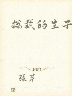 总裁的生子情人