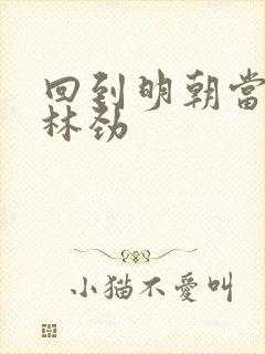 回到明朝当王爷林劲