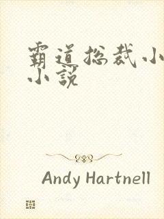 霸道总裁小娇妻小说