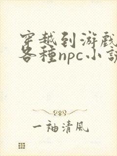 穿越到游戏里和各种npc小说