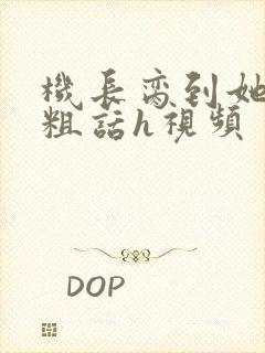 机长脔到她哭h粗话h视频