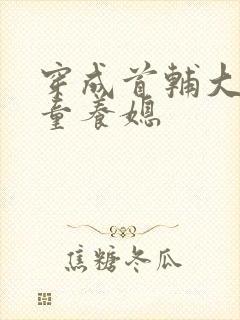 穿成首辅大人的童养媳