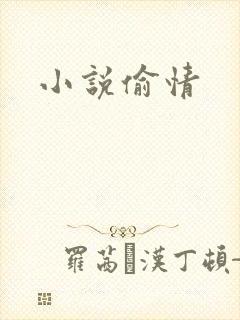 小说偷情