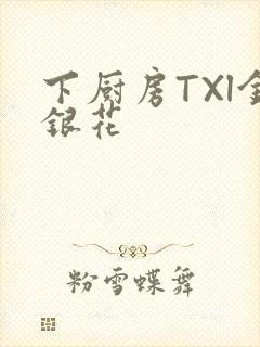 下厨房TXl金银花