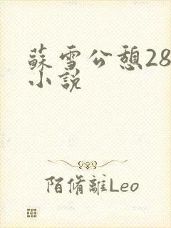 苏雪公憩28篇小说